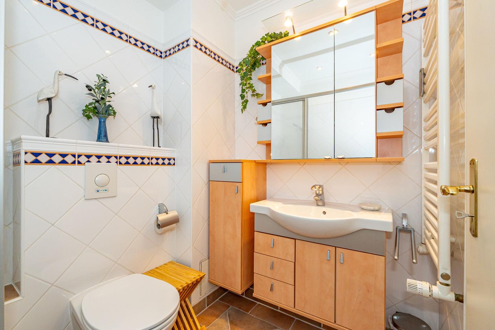 Bathroom with toilet, sink, and mirror cabinet. Walls tiled with blue pattern.