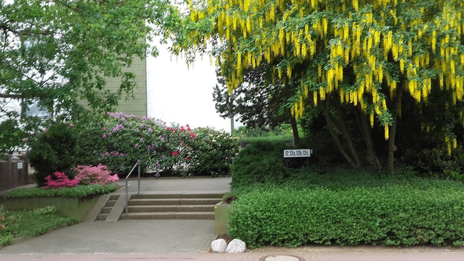 Eingang von der Straße aus