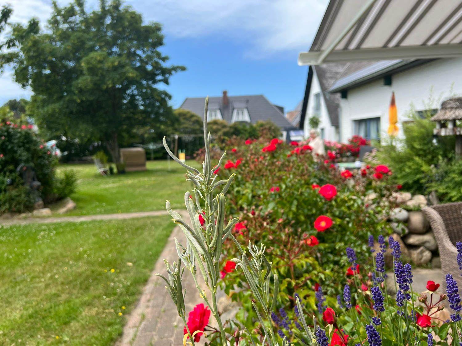 Garten mit roten Rosen und Lavendel vor einem Haus mit Terrasse.