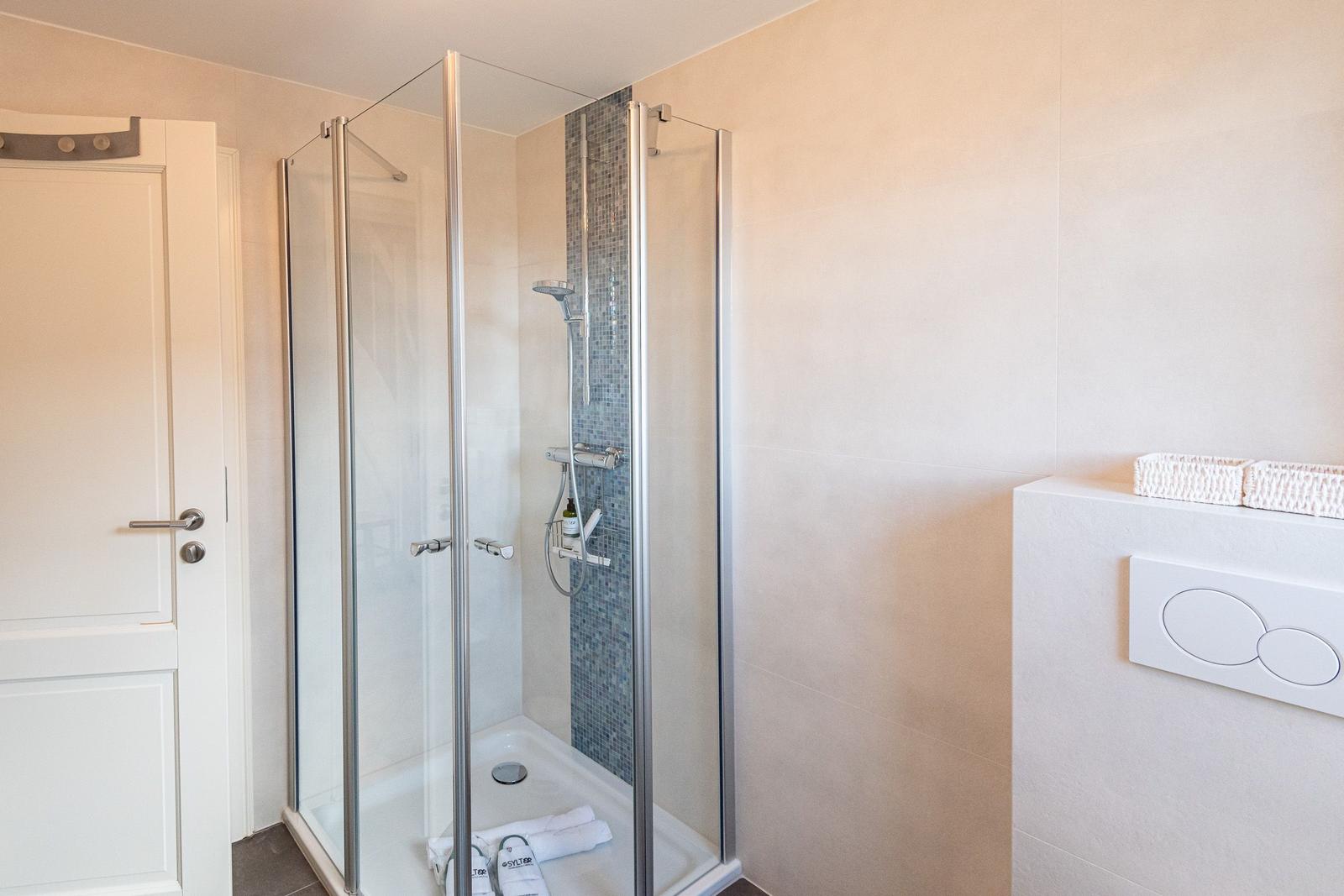 Dusche mit Glaswand und Mosaikfliesen, Toilette und Badewanne