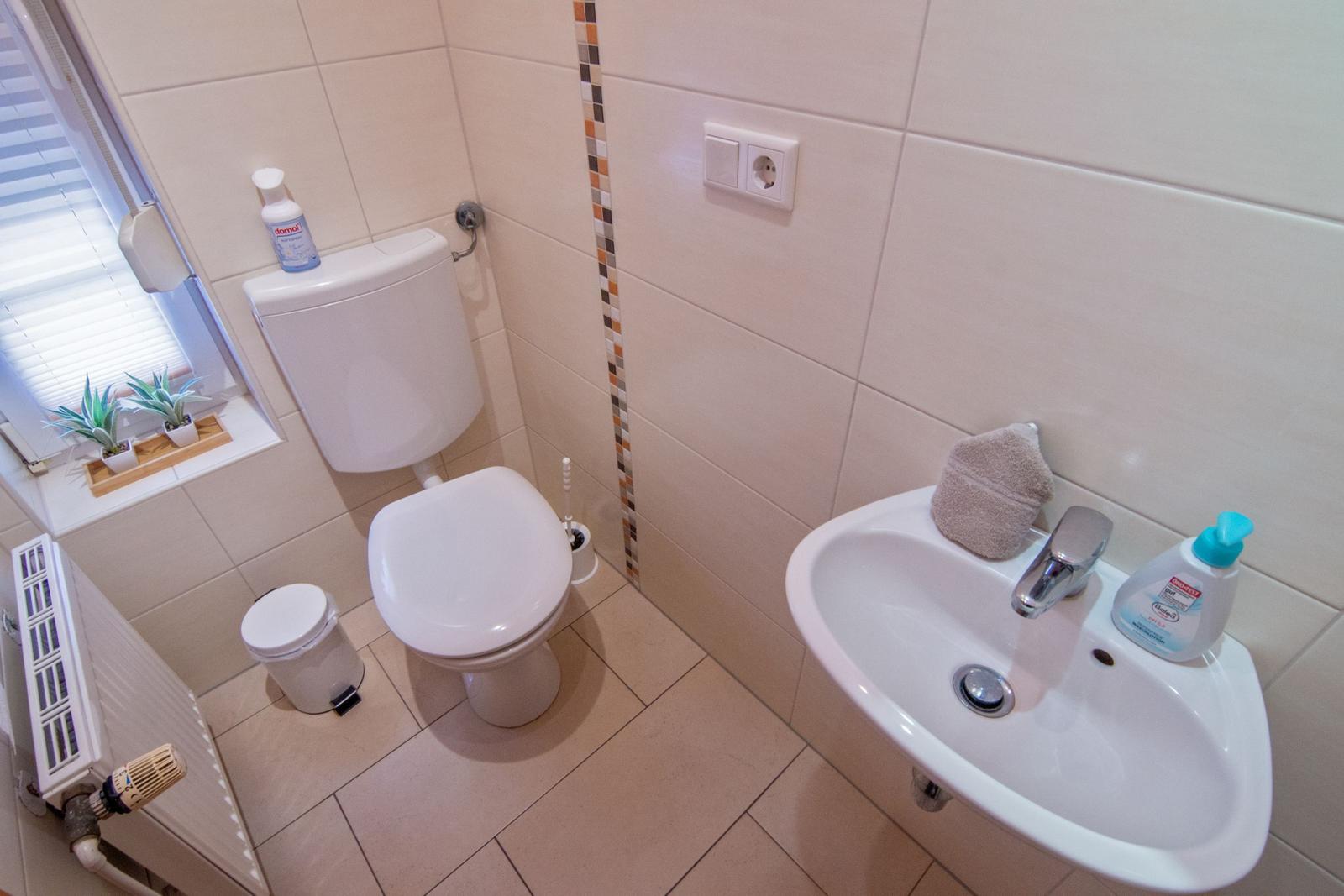 Badezimmer mit Toilette, Waschbecken und Fenster mit Pflanzen