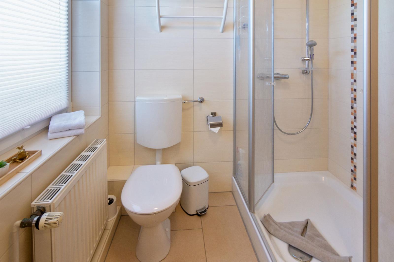 Bad mit Dusche, WC und Fenster mit Jalousie.