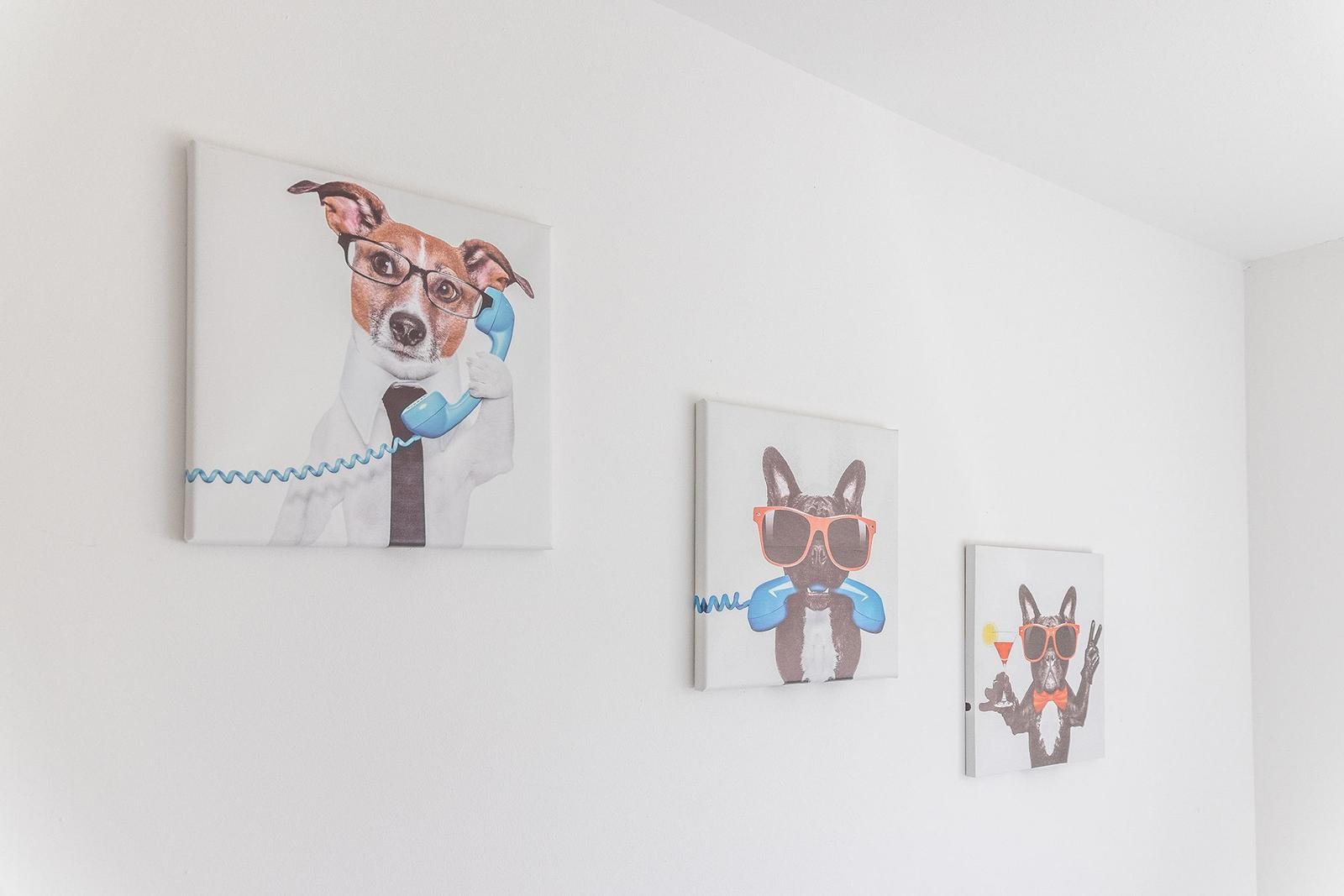 Drei Bilder mit Hunden in Brillen und Telefonen an der Wand.