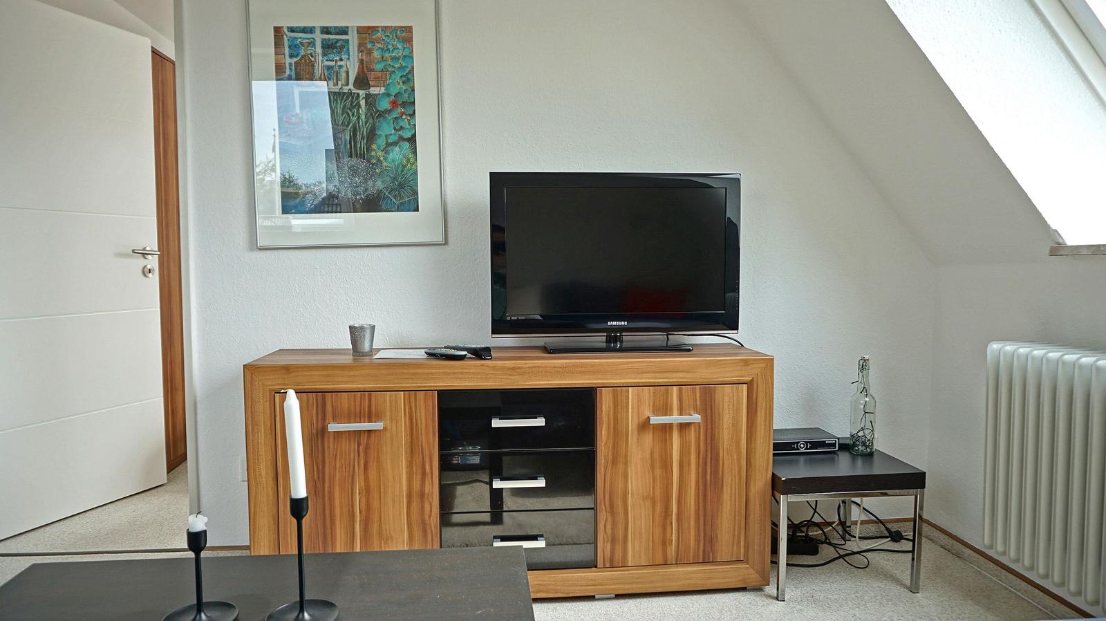 Fernseher
