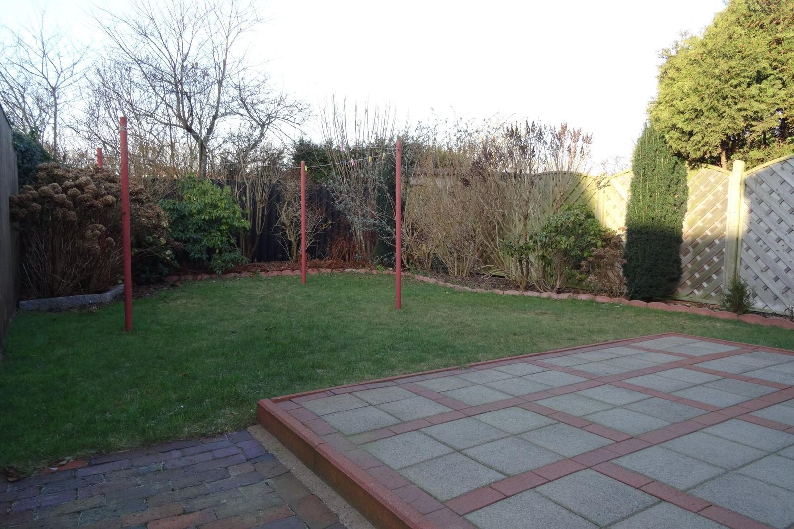 Hinterhof mit Rasenfläche, gepflastertem Bereich und Gartenzaun mit Bäumen und Sträuchern.