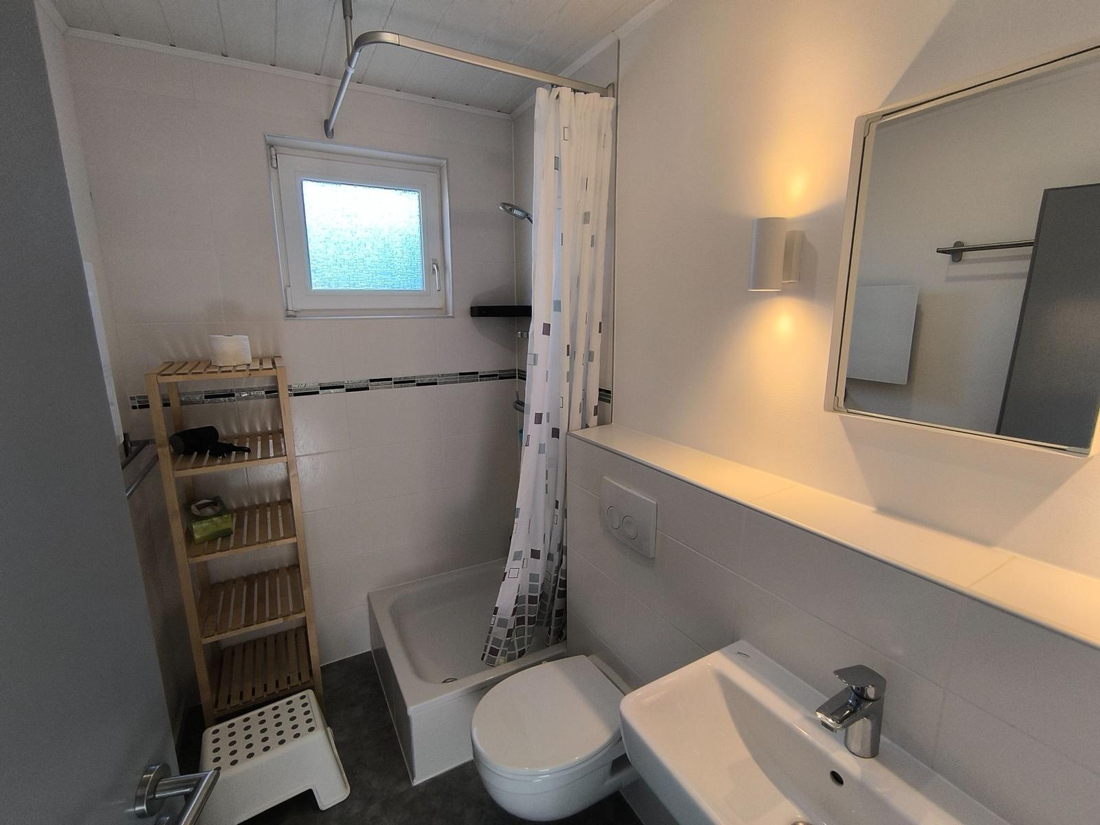 Badezimmer mit Dusche, Toilette und Waschbecken. Holzregal und Spiegel sichtbar.
