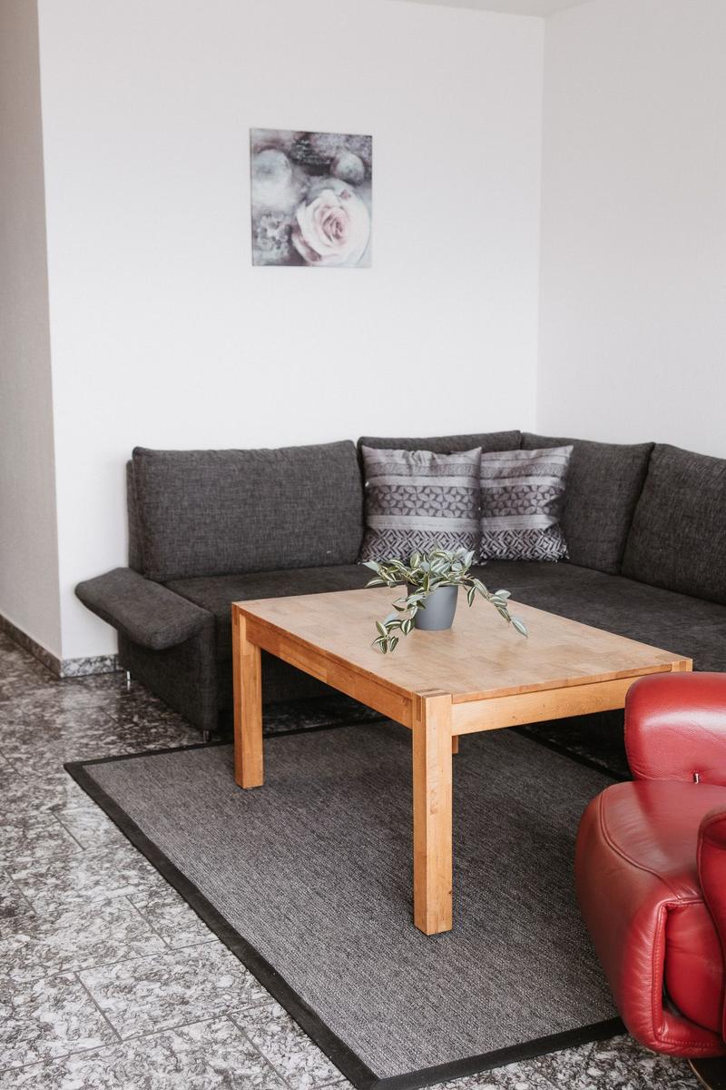 Ein Wohnzimmer mit grauem Sofa, rotem Ledersessel und Holztisch. Auf dem Tisch steht eine Pflanze.