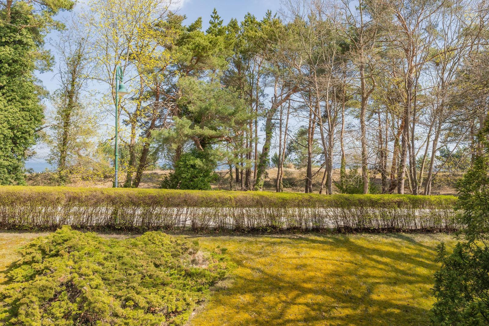 Grün bewachsener Garten mit Hecke und Bäumen im Hintergrund.