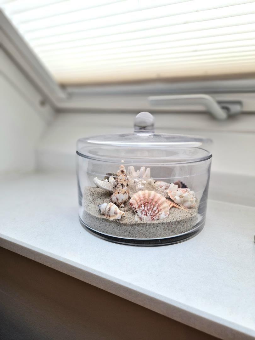Glasbehälter mit Sand und Muscheln auf Fensterbank