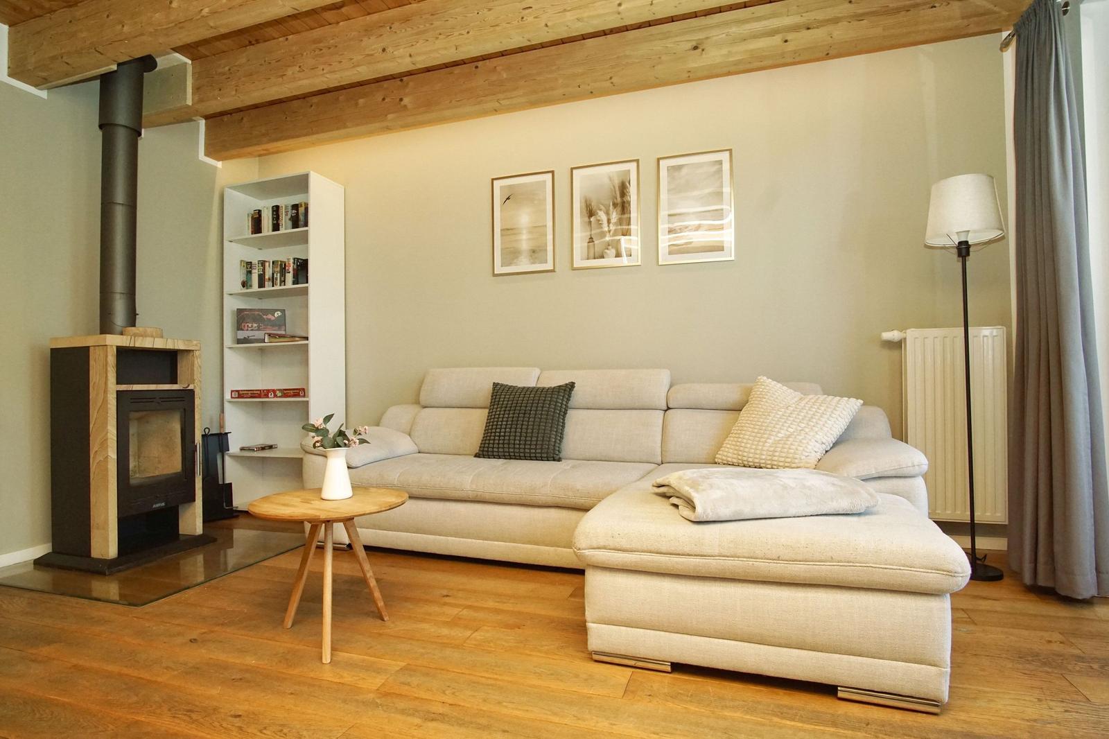 Living room with sofa, fireplace, and bookshelf against the wall.