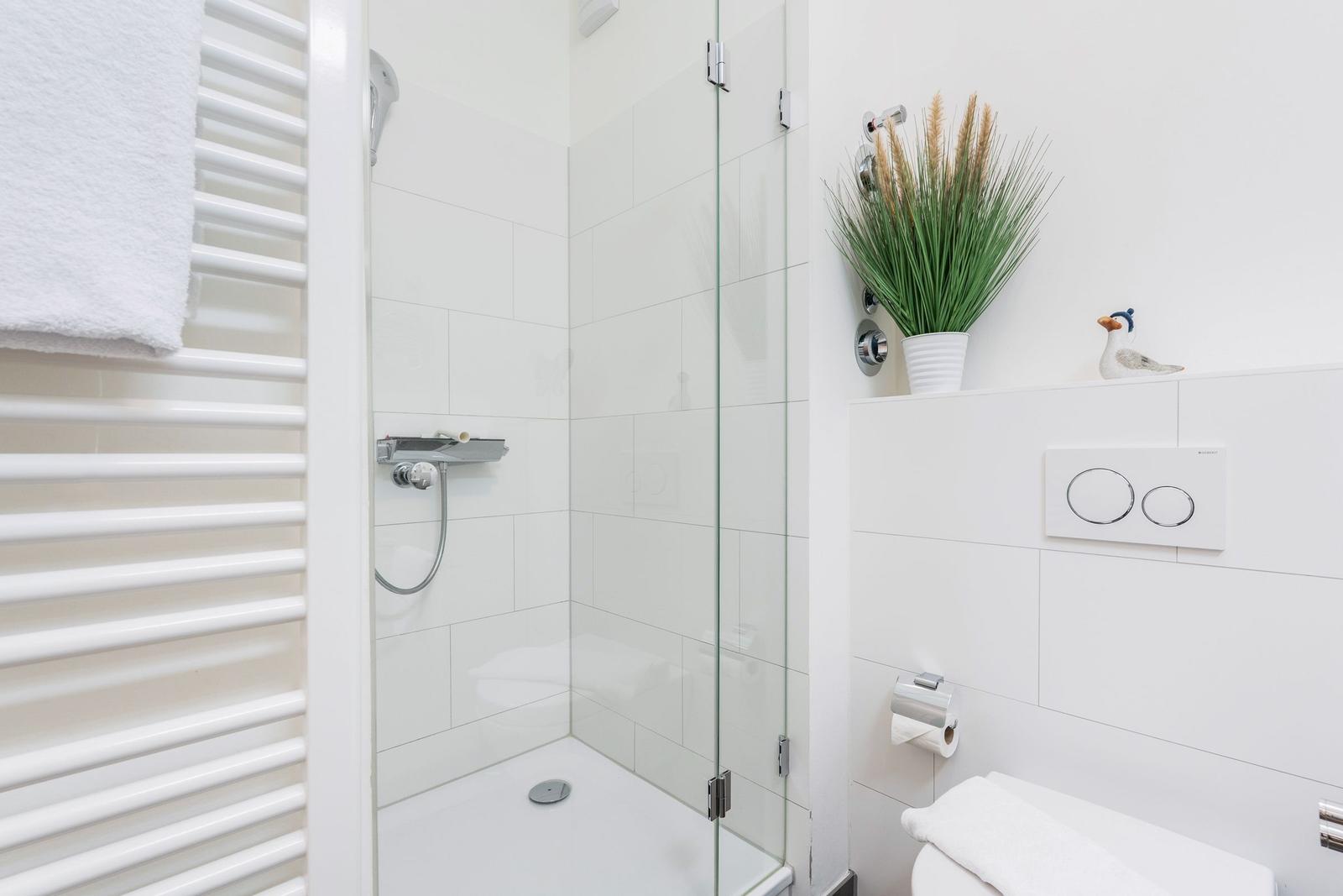 Duschbereich mit Glaswand, Handdusche und Heizkörper. WC mit Toilettenpapierhalter und Pflanze.