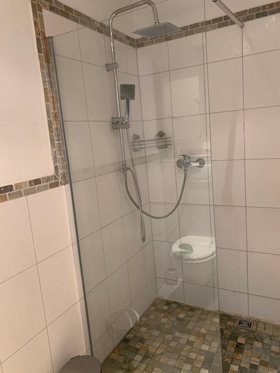 Duschkabine mit Glaswand, Duschbrause und Toilette im Bad.