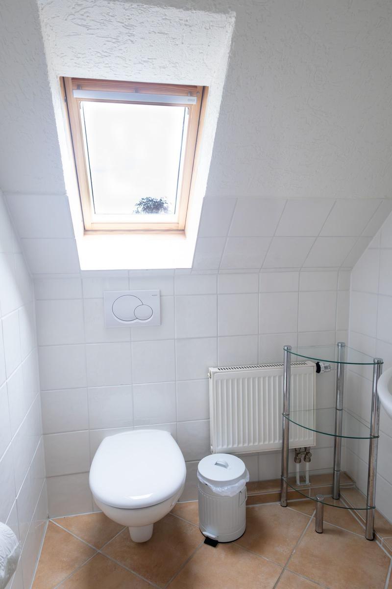 Badezimmer mit Toilette, Dachfenster und Heizkörper