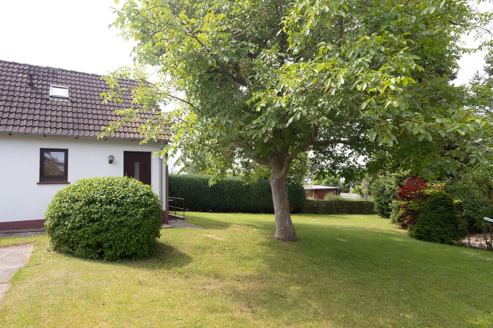 Haus mit Garten, Baum und Beerensträuchern. Eingangstür und Fenster sichtbar.
