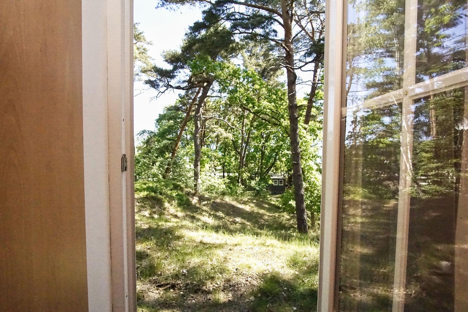 Durch die Tür blickt man auf einen Wald mit Bäumen und Gras.