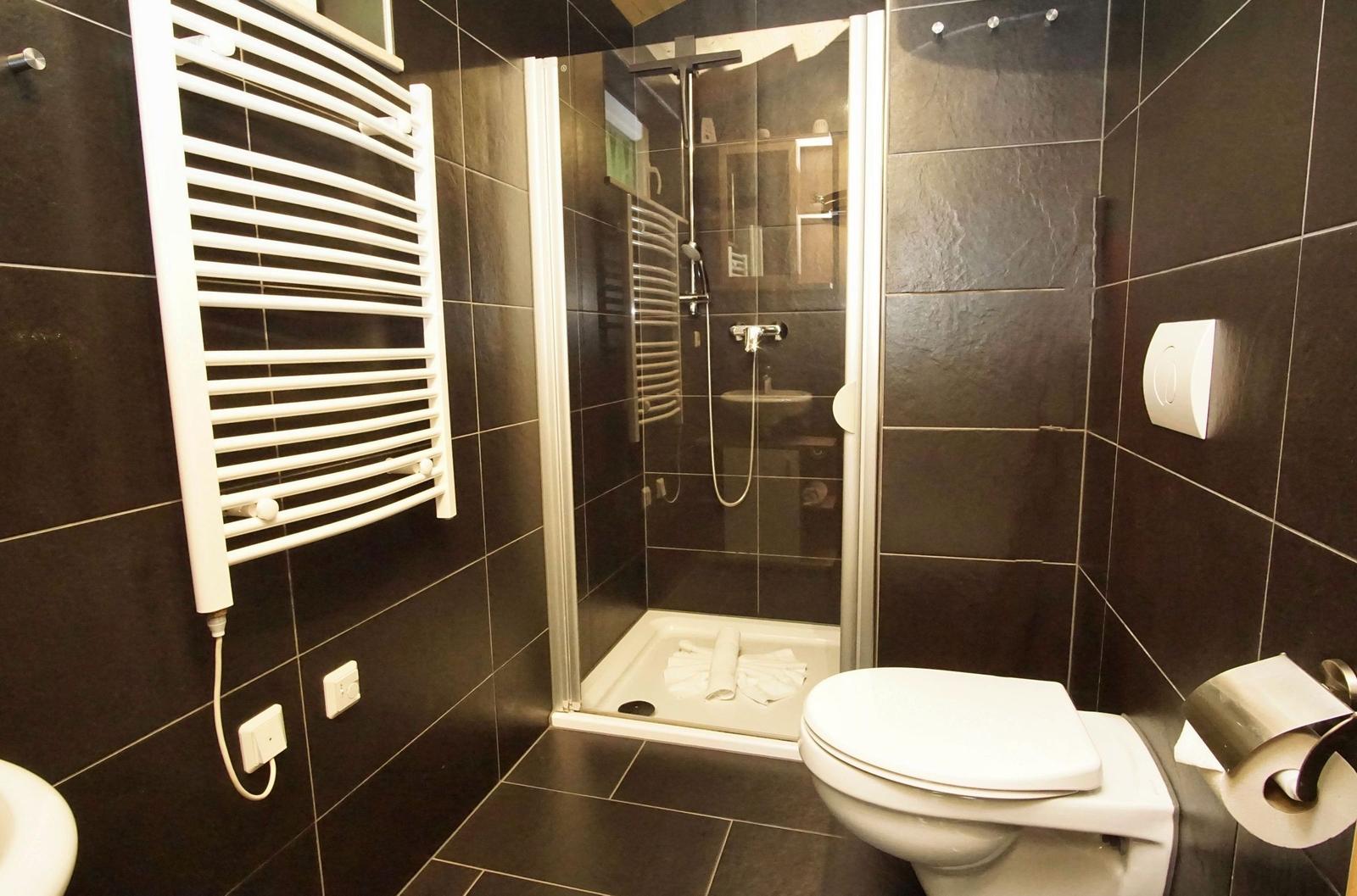 Dusche mit Duschbrause, Toilette und Heizkörper an schwarzen Wänden.
