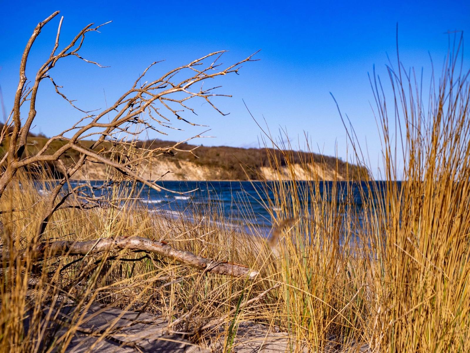 Strand mit hohem Gras und Ästen, Blick auf das Meer und eine felsige Küste.