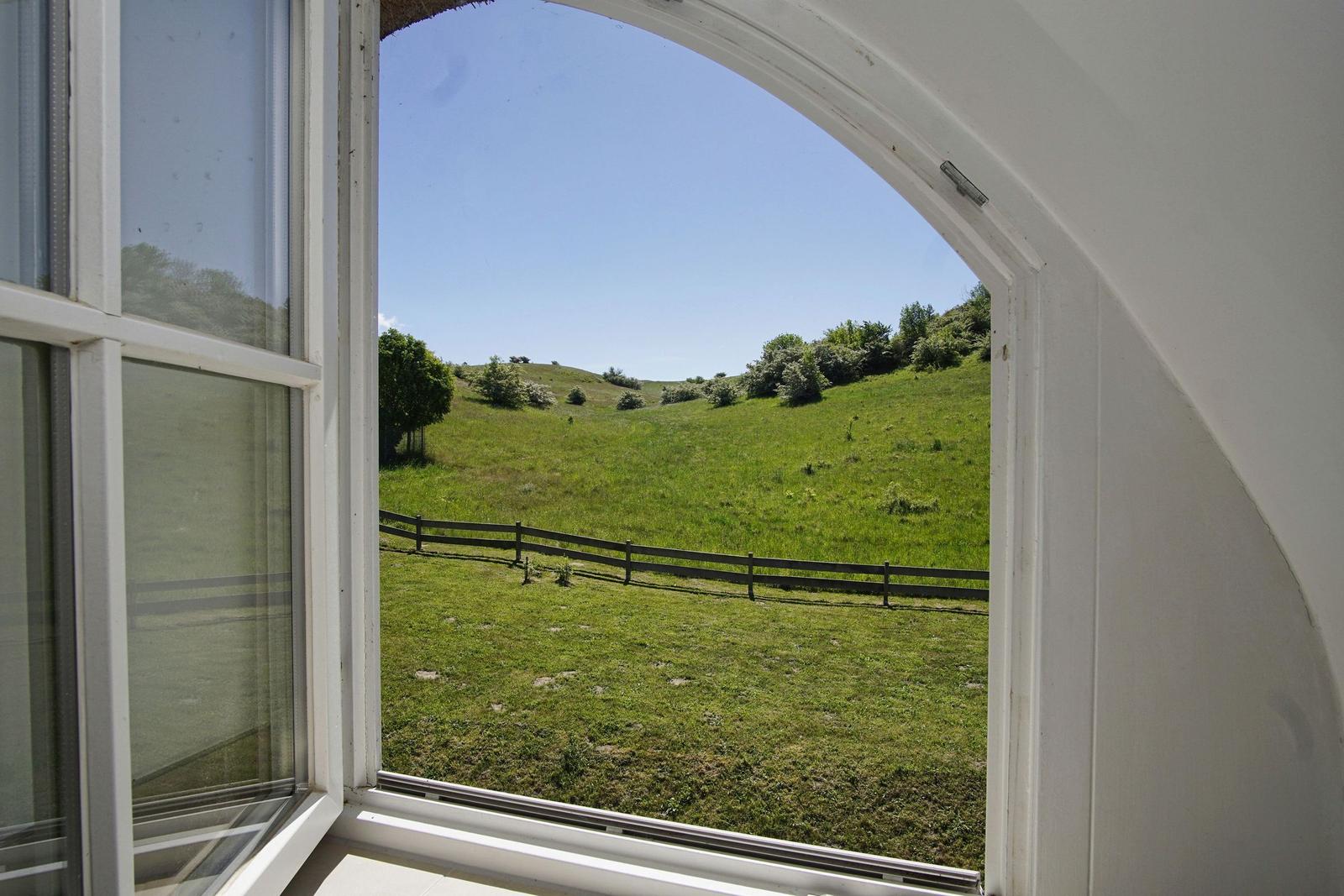 Durch ein Fenster blickt man auf eine grüne Wiese mit einem Holzzaun und Bäumen im Hintergrund.