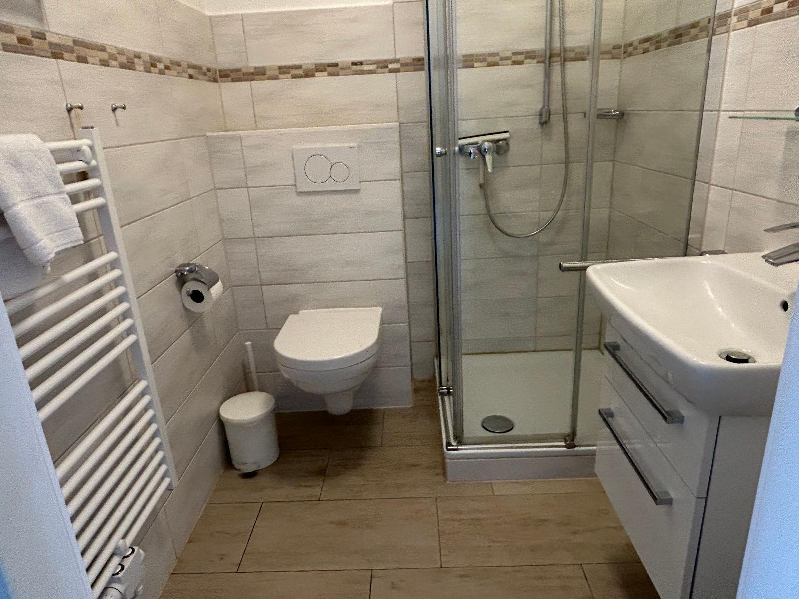 Badezimmer mit Dusche, WC und Waschbecken.