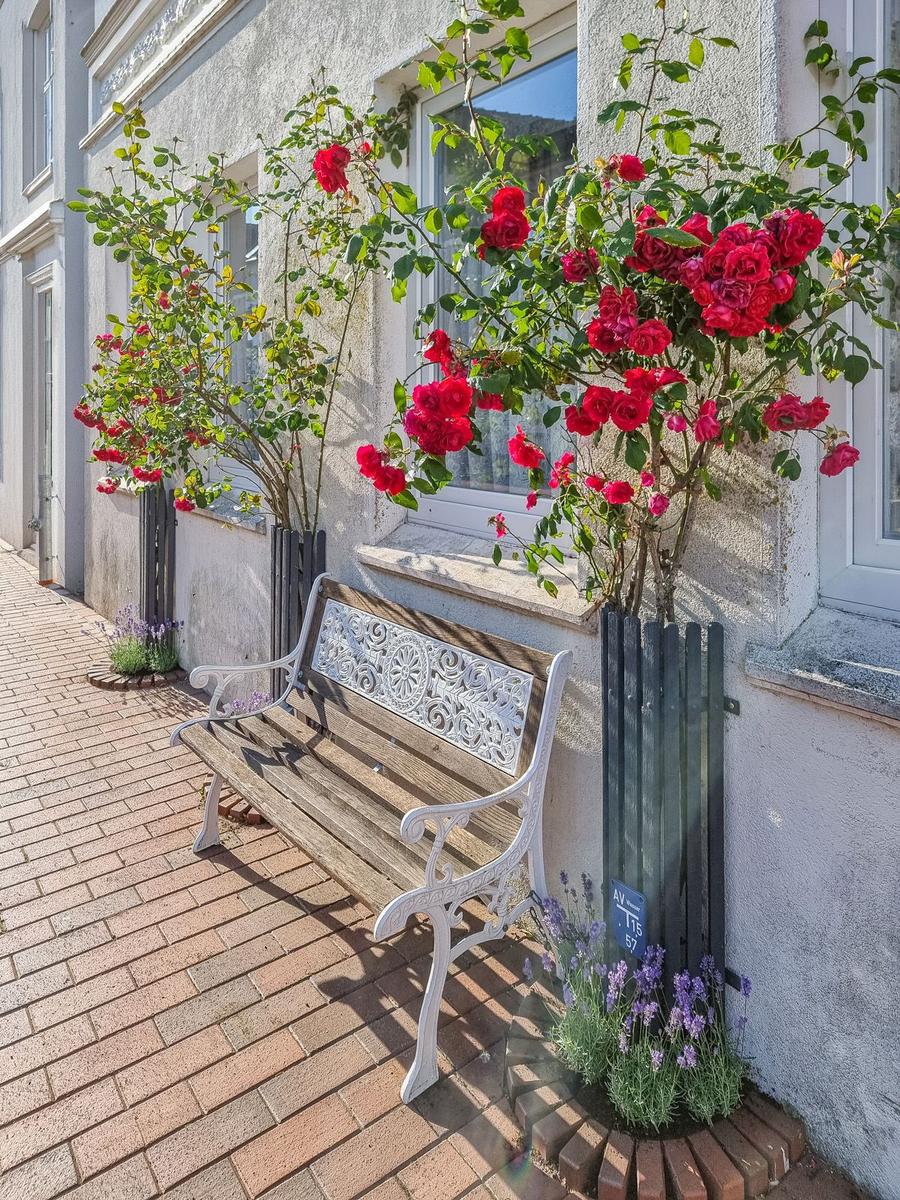 Eine Bank vor einem Haus mit roten Rosen und Lavendel.