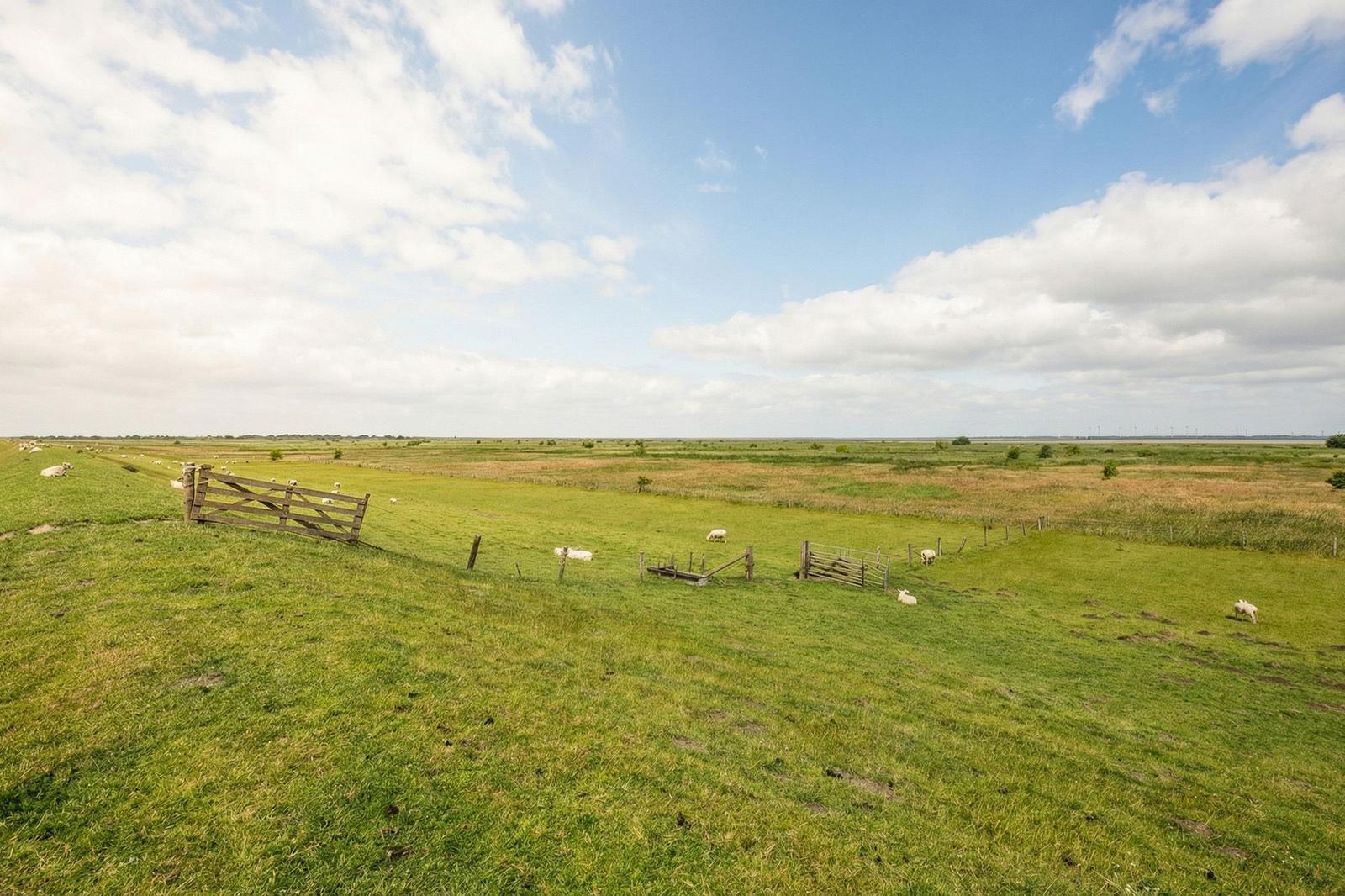 Weite grüne Wiesen mit Schafen und Holzgattern unter blauem Himmel mit weißen Wolken.