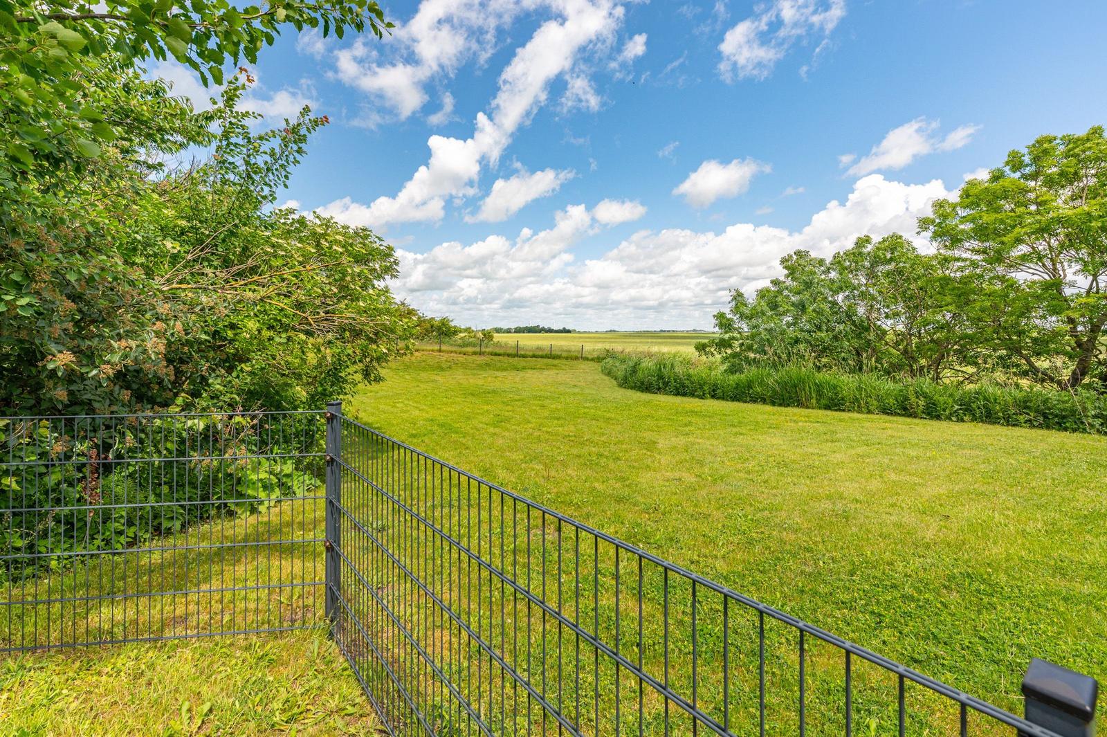 Garten mit Zaun, Grasfläche und Bäumen unter blauem Himmel mit weißen Wolken.