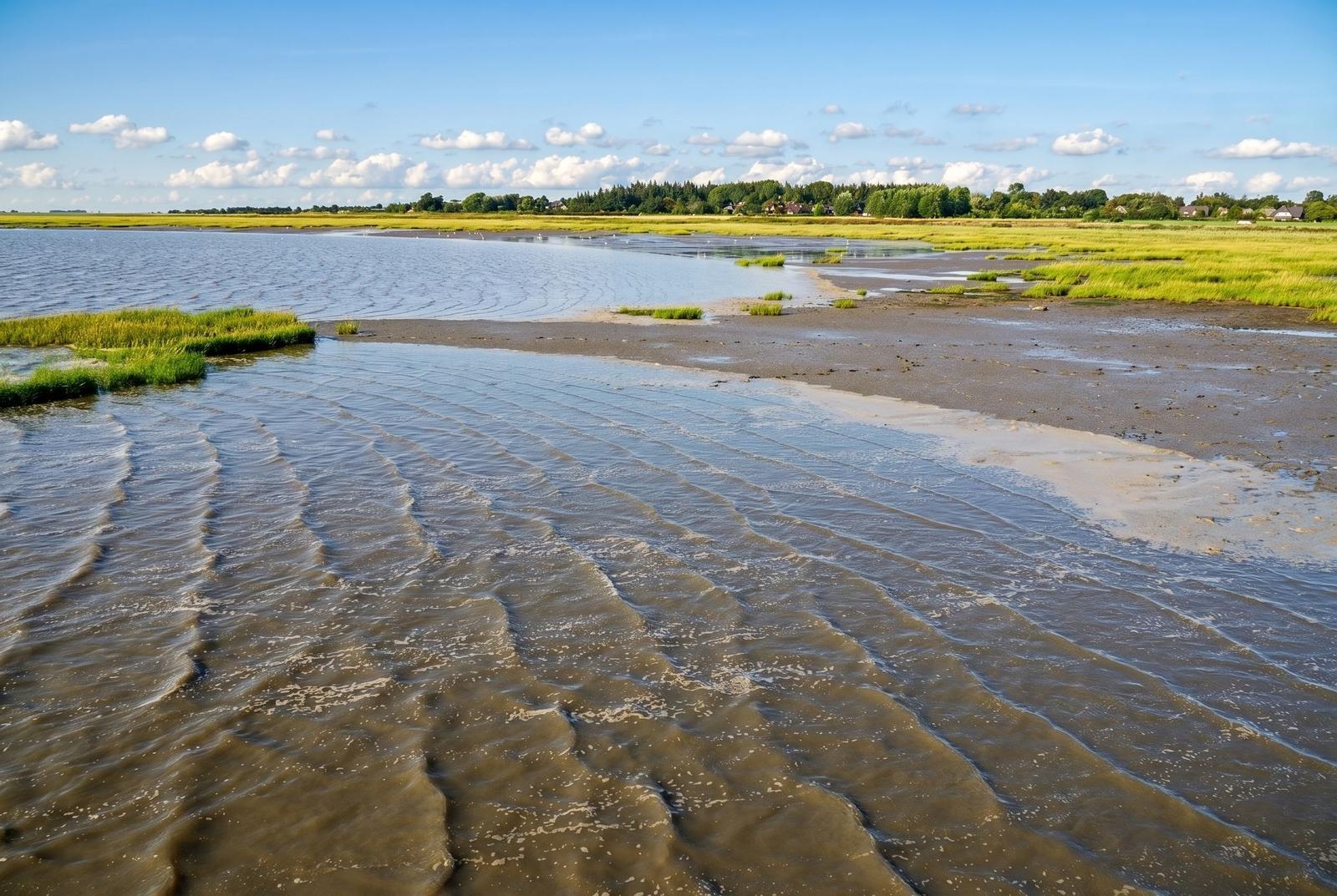 Water areas with wave patterns and grassland in the background under blue sky.