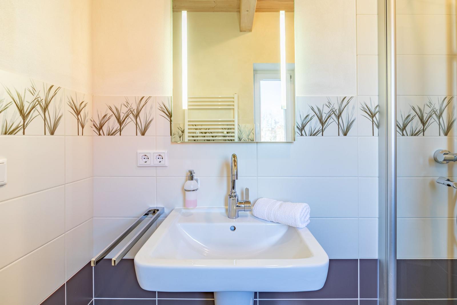 Bathroom with sink, mirror, and shower