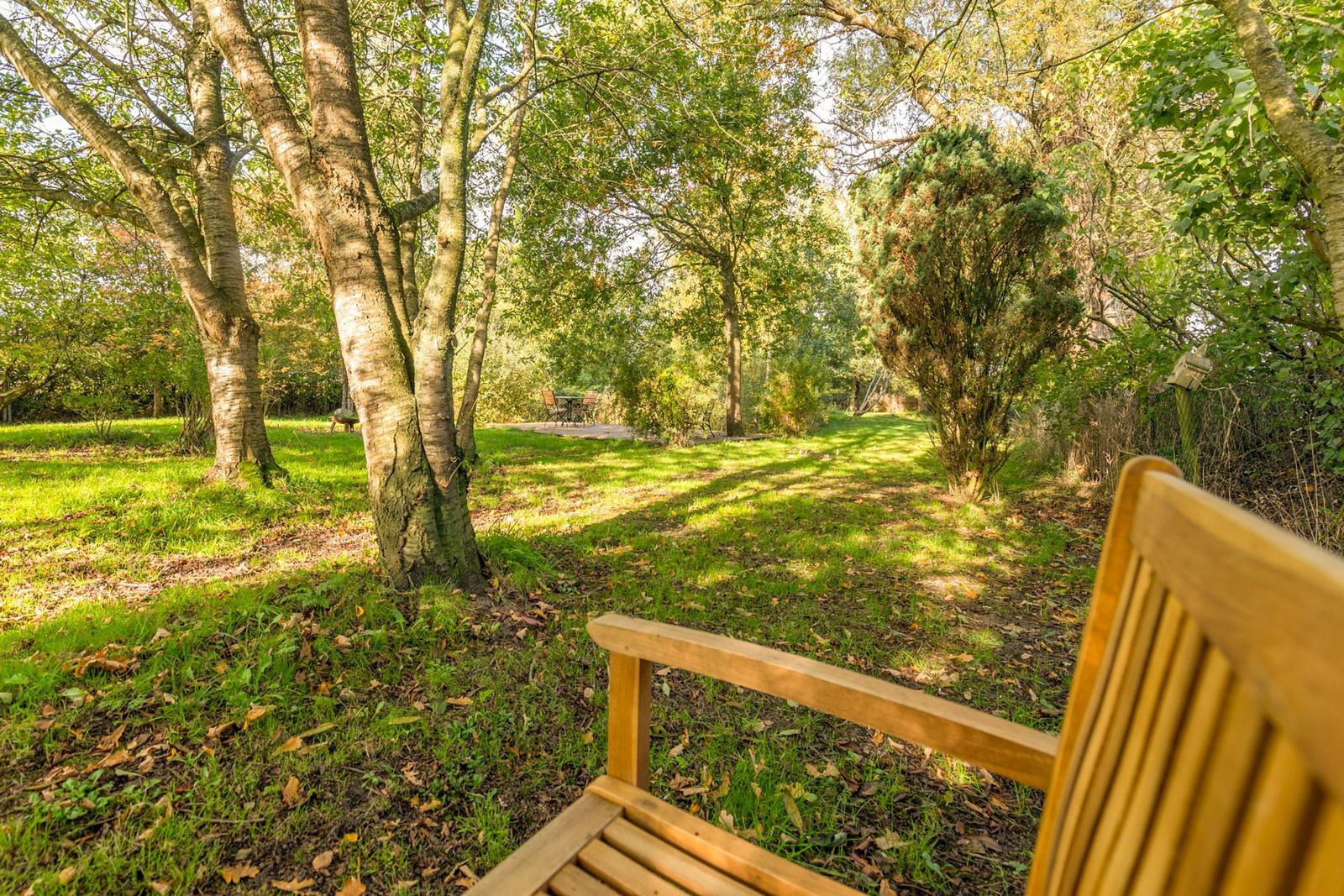Holzbank im Garten unter Bäumen mit Blick auf Terrasse.