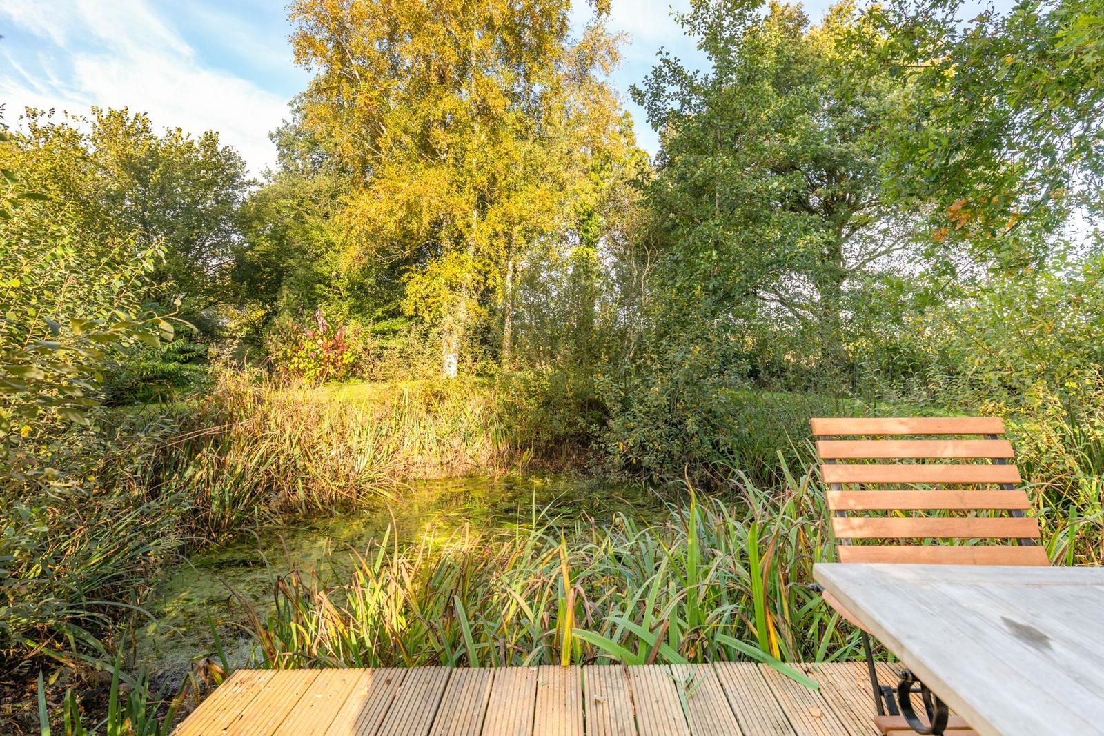 Holzterrasse mit Tisch und Stuhl am Teich mit Ufervegetation und Bäumen im Hintergrund.