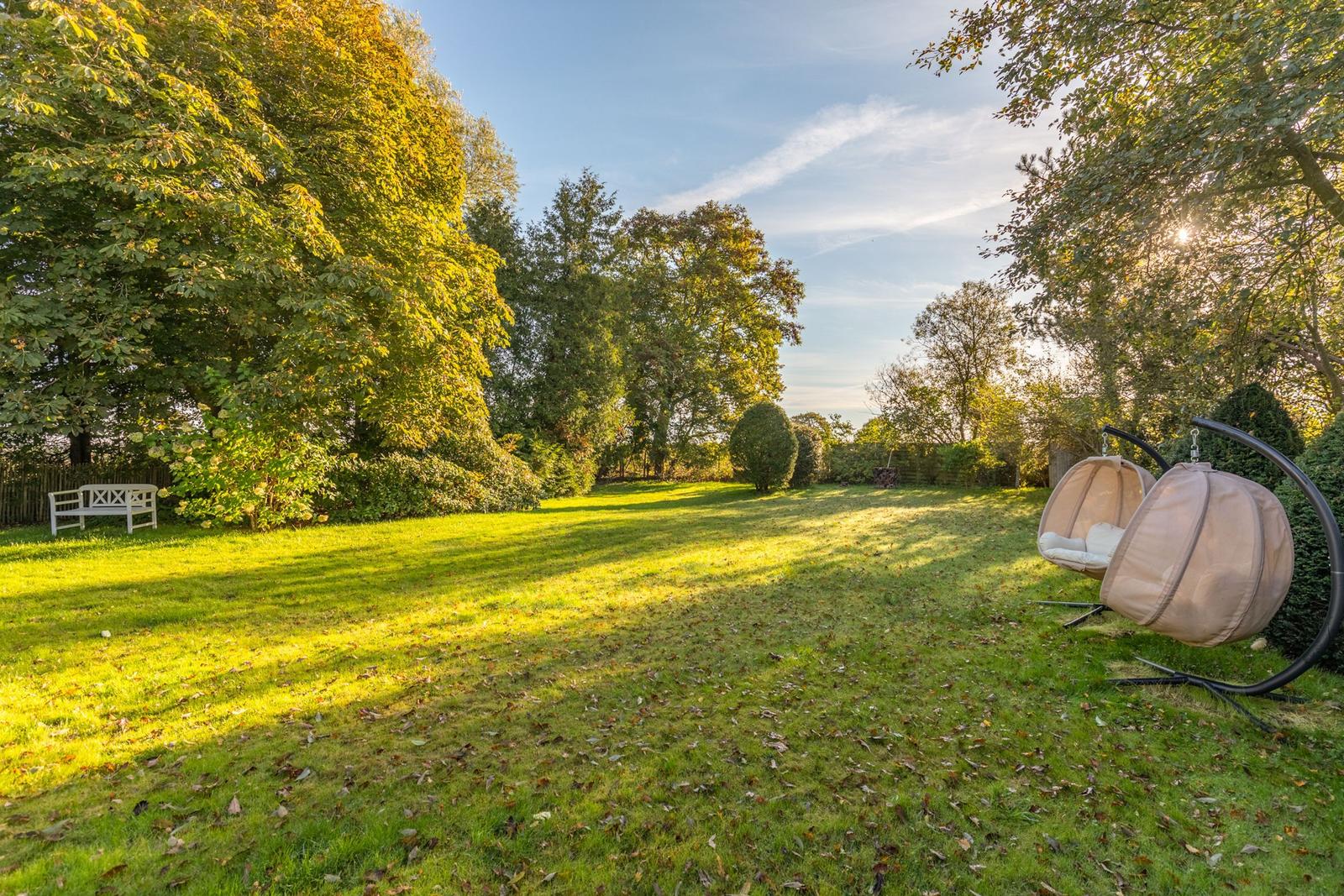 Großer Garten mit Grasfläche, Bäumen und zwei hängenden Sitzmöbeln.