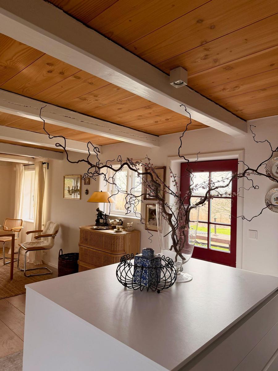 Raum mit Holzdecke, roter Tür und dekorativer Zweig auf Kücheninsel.