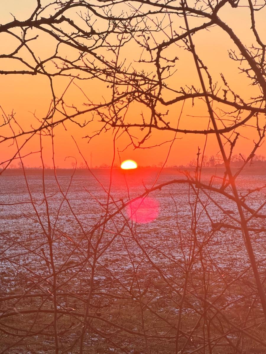 Sonnenuntergang hinter kahlen Ästen über eine winterliche Landschaft.