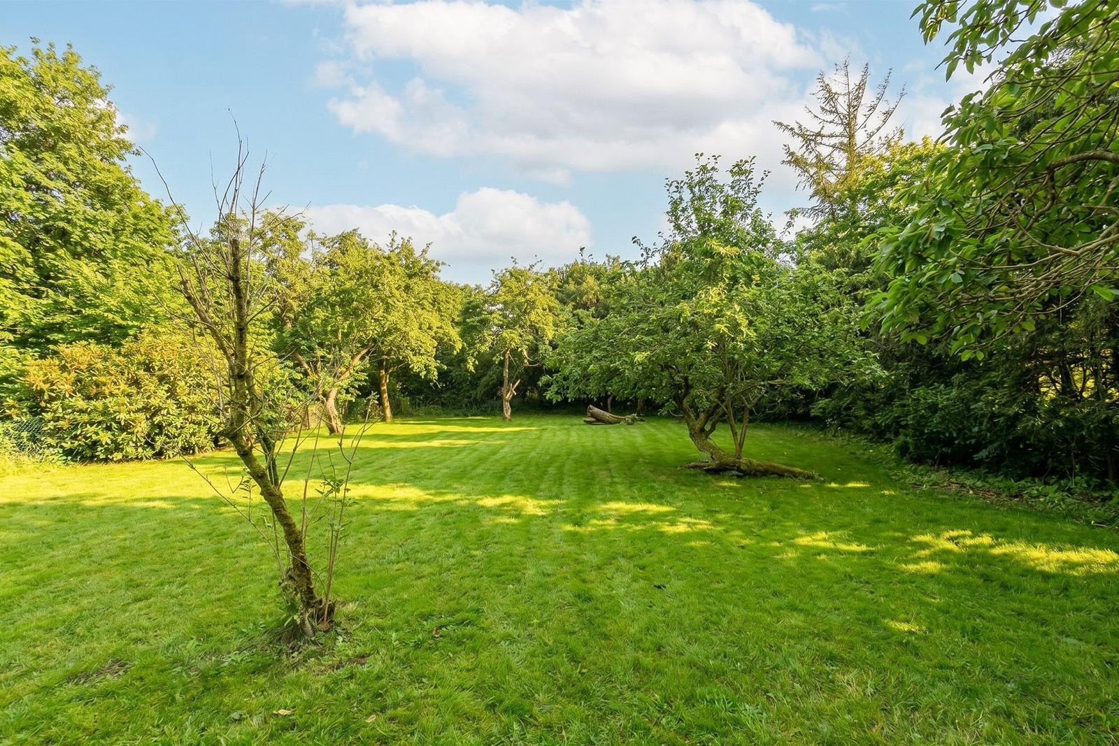 Großer grüner Garten mit Bäumen und Sträuchern unter blauem Himmel.