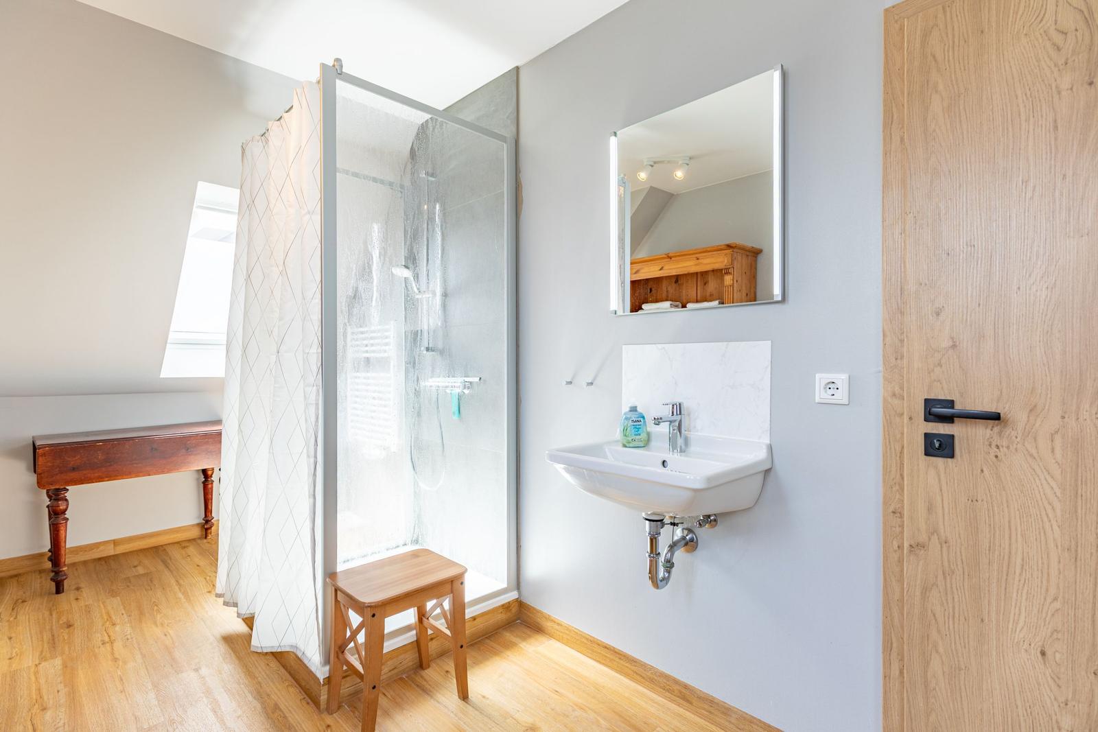 Bathroom with shower, sink, and mirror. Wooden floor and door.
