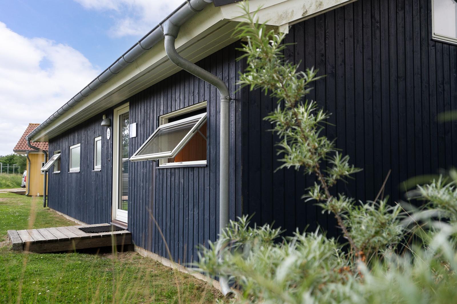 Schwarzes Holzhaus mit Terrasse und Fenstern. Gras und Pflanzen im Vordergrund.