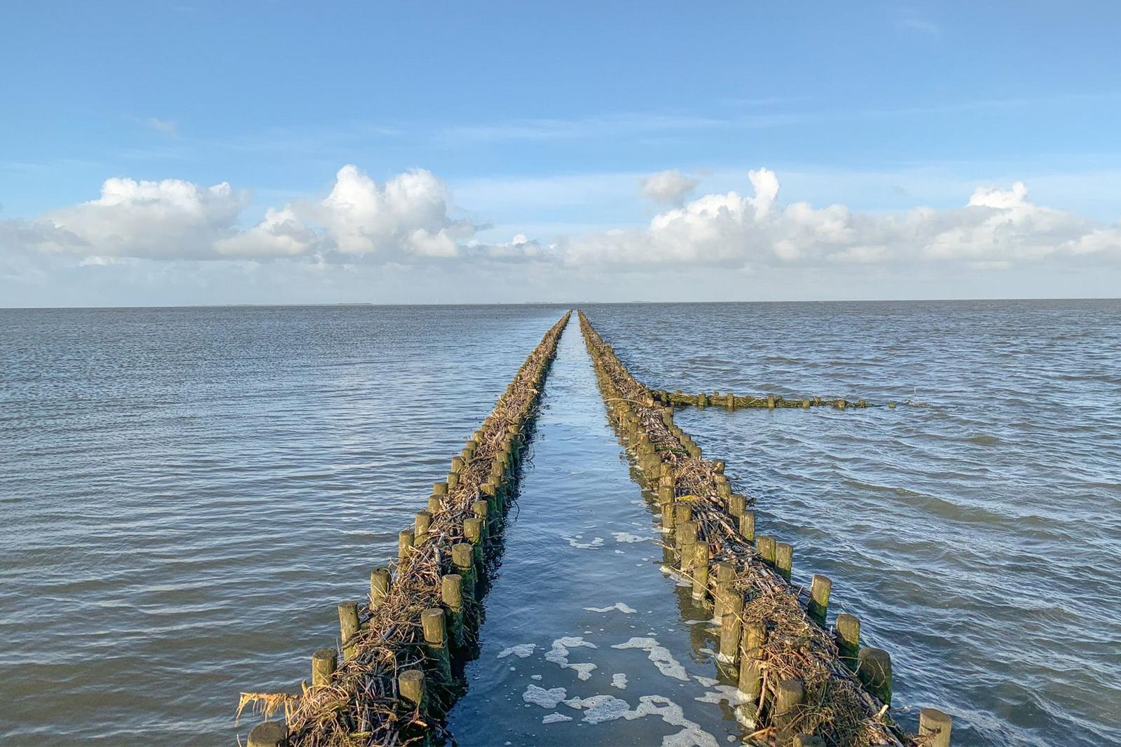 Holzstake-Leitung führt durch Wasser zu Horizont unter blauem Himmel mit weißen Wolken.
