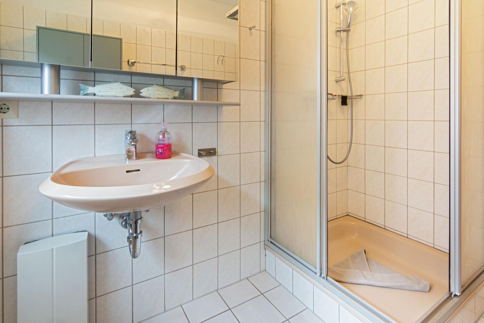 Badezimmer mit Waschbecken, Spiegelschrank und Dusche mit Handbrause.
