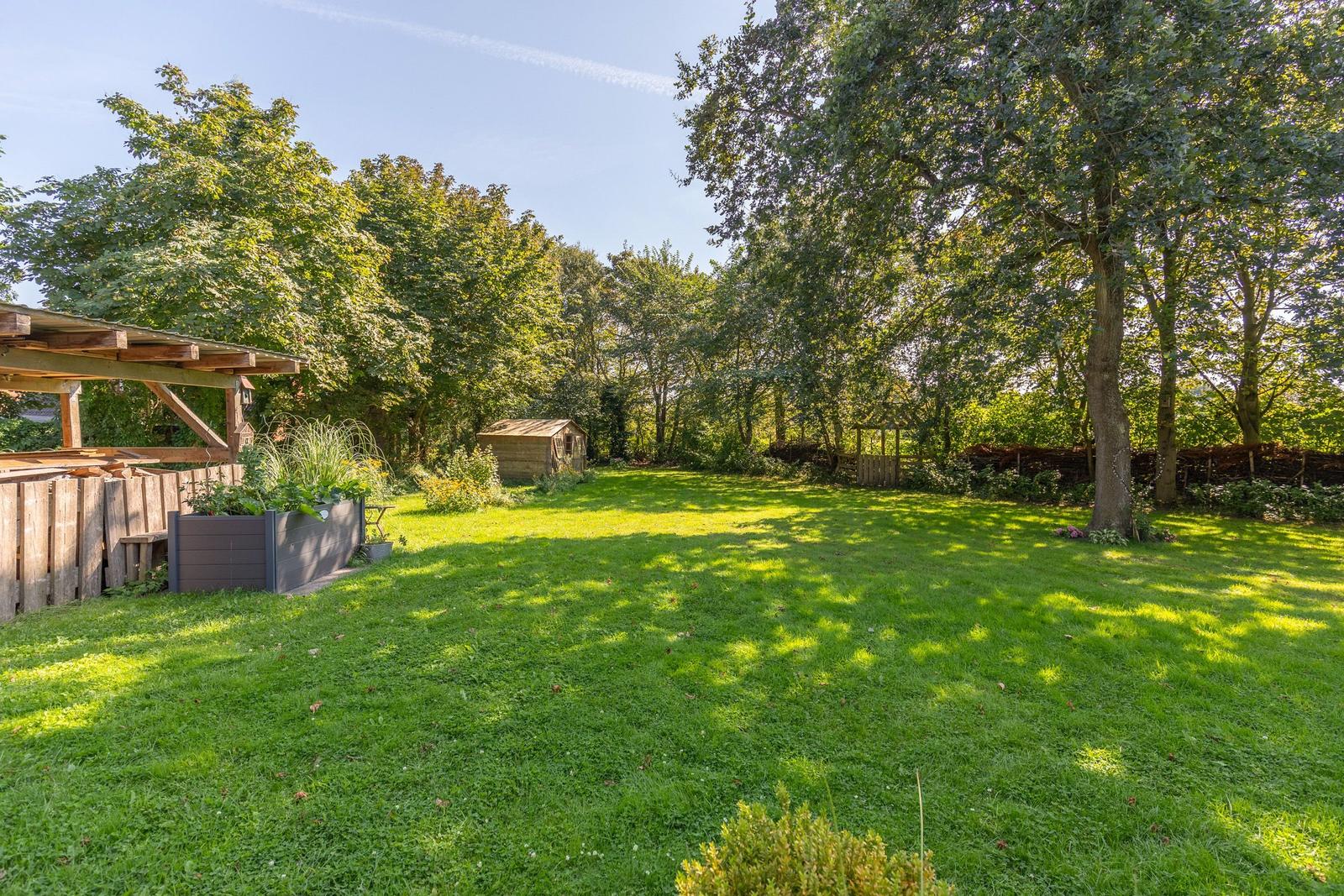 Großer grüner Garten mit Bäumen, Holzschuppen und Pflanzenbeet.