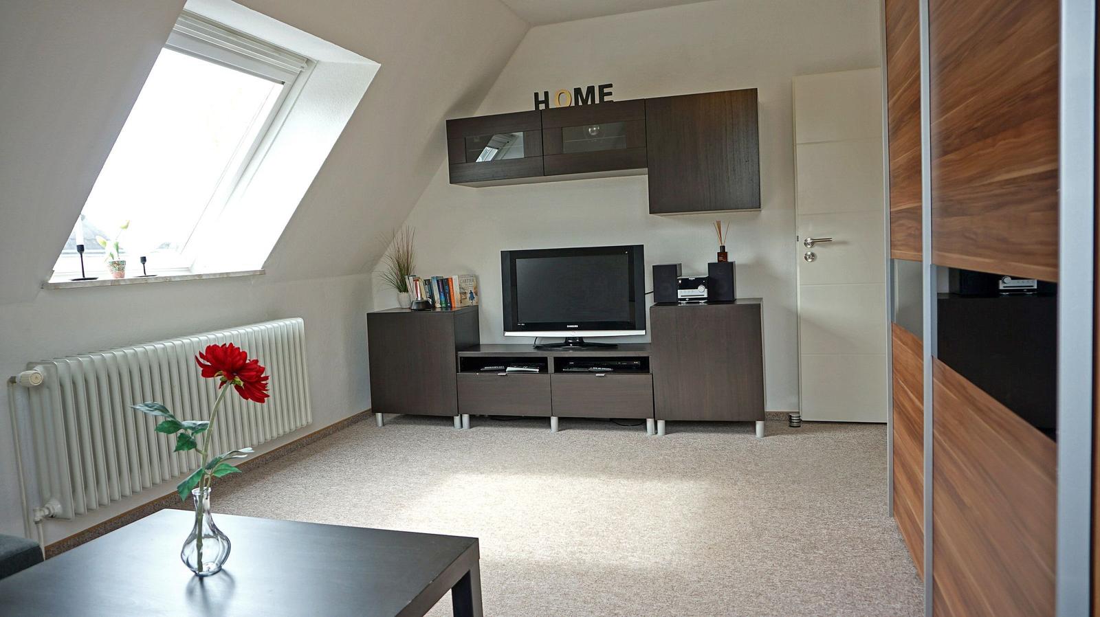 Fernseher