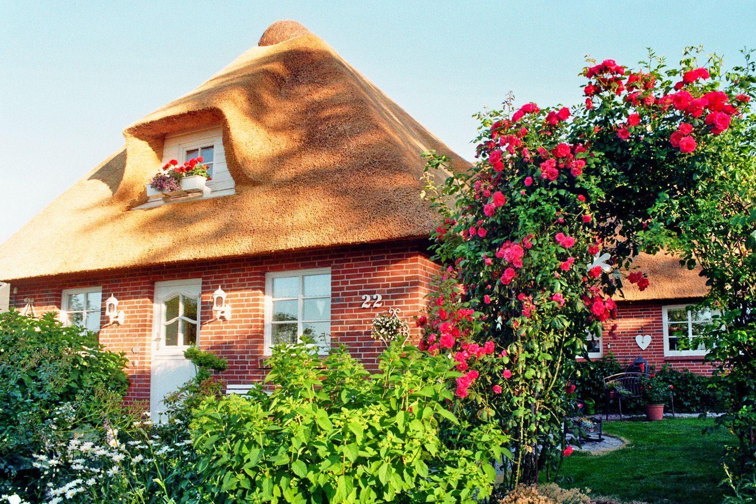 House with thatched roof, red bricks, and blooming roses in the front garden.