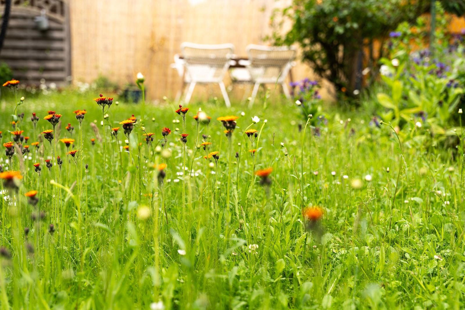 Grüner Garten mit Blumen und weißen Stühlen im Hintergrund.