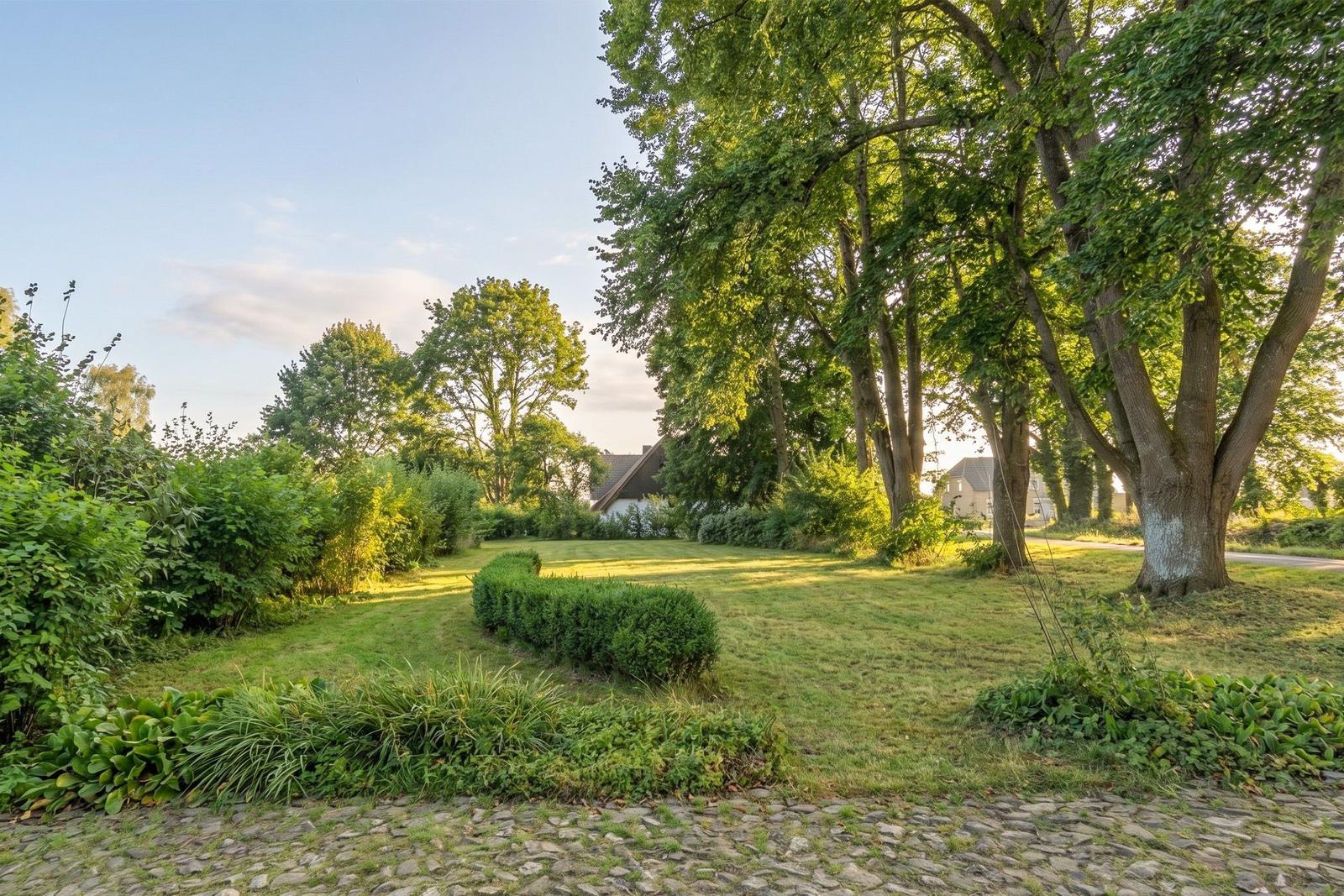 Green garden with trees and stone path in the foreground.