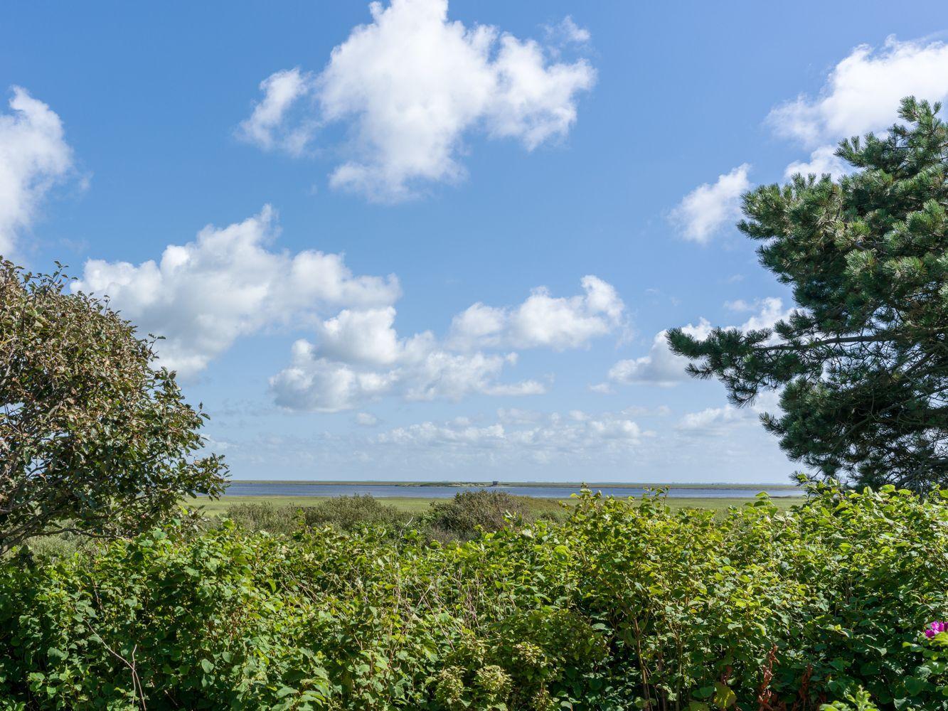 Weitläufiger Blick auf Fluss und Himmel mit Wolken, umgeben von Grün und Bäumen.