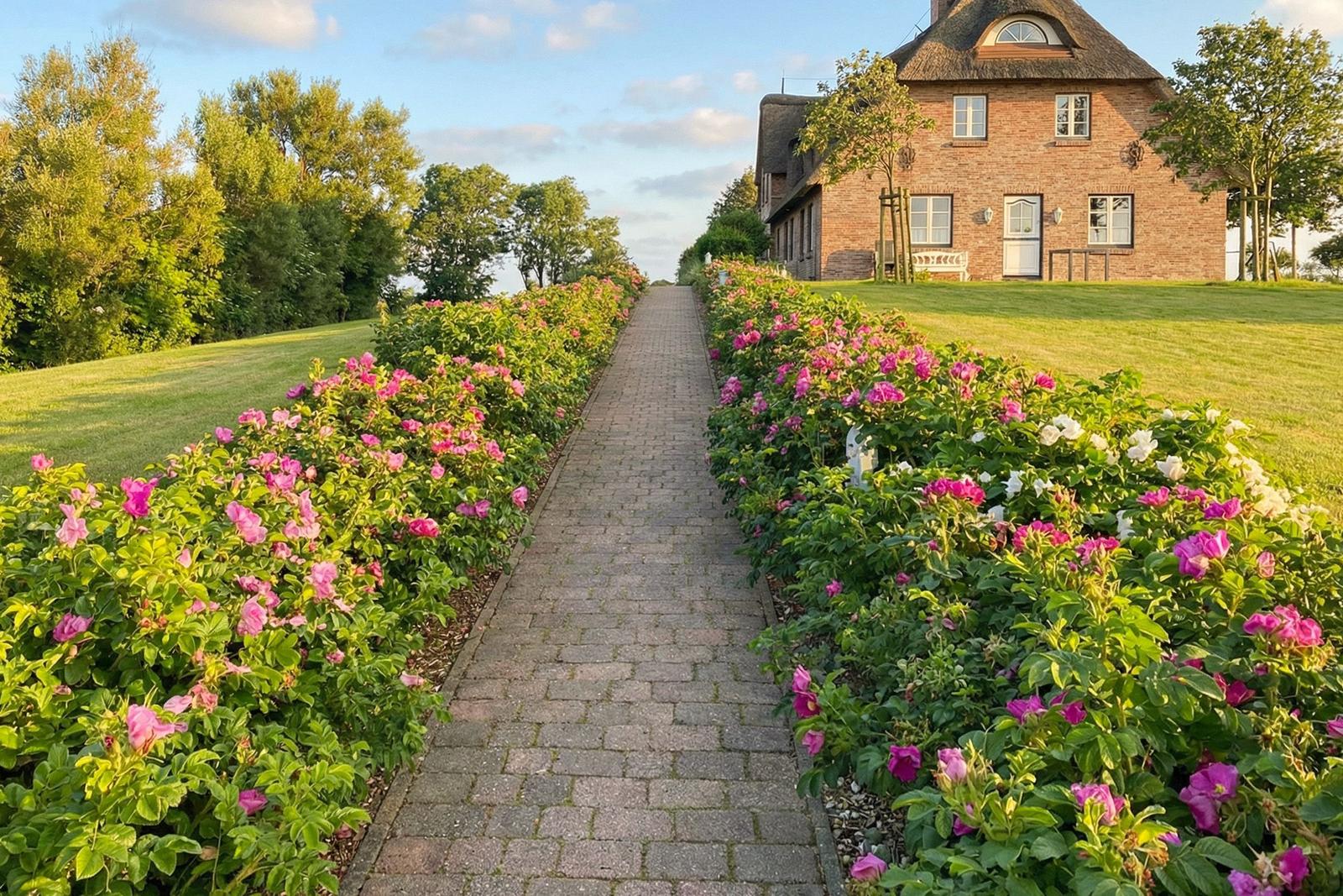 Pflasterweg durch Rosenbeete führt zu einem Backsteinhaus mit Dachgauben.