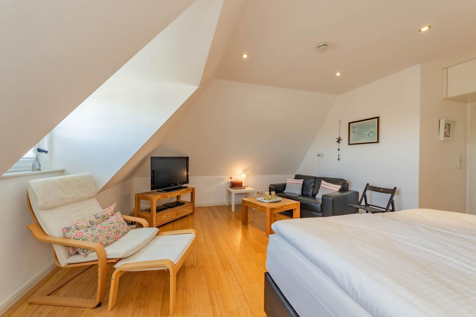Schlafzimmer mit Schlafcouch, Fernseher und Holzboden.