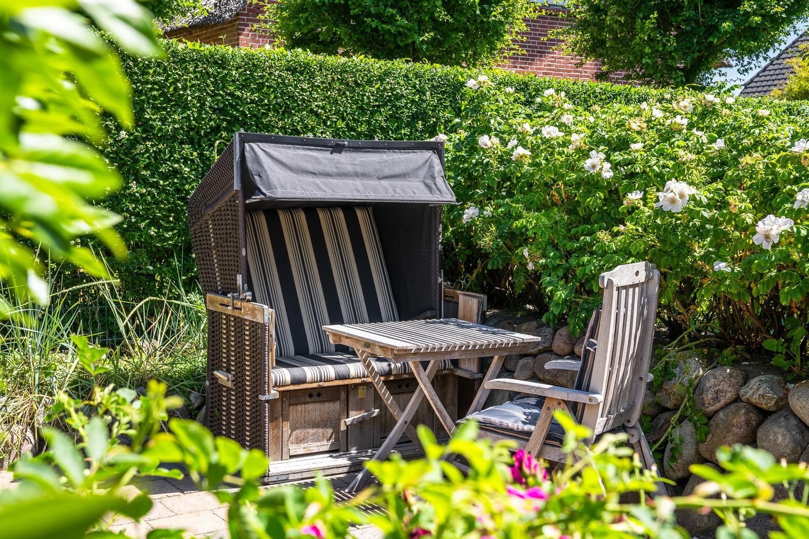 Garden with beach chair, table, and chair. Background: hedge and roses.