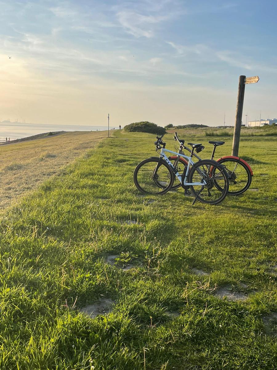 Zwei Fahrräder stehen auf einer grünen Wiese neben einem Wegweiser am Strand.