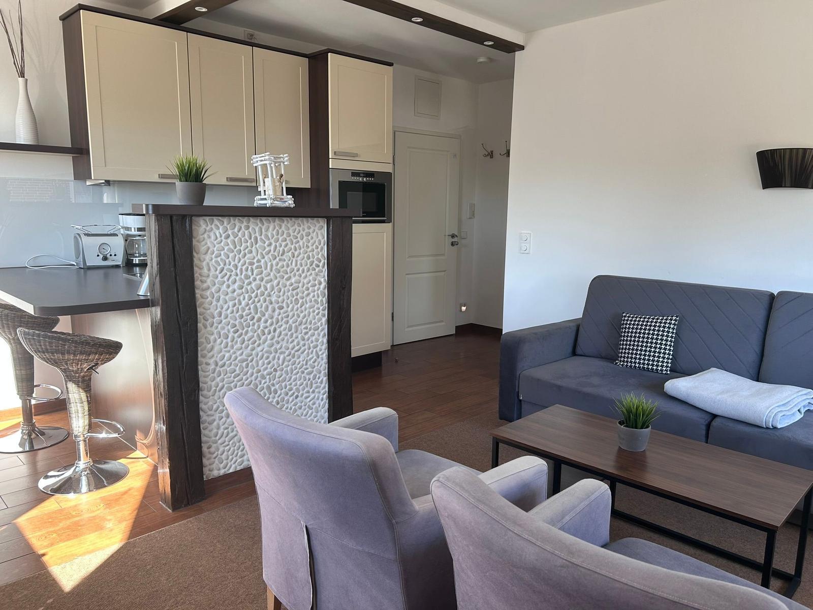 Wohnbereich mit Sofa, Sitzgelegenheiten und Küchenbereich mit Arbeitsplatte.