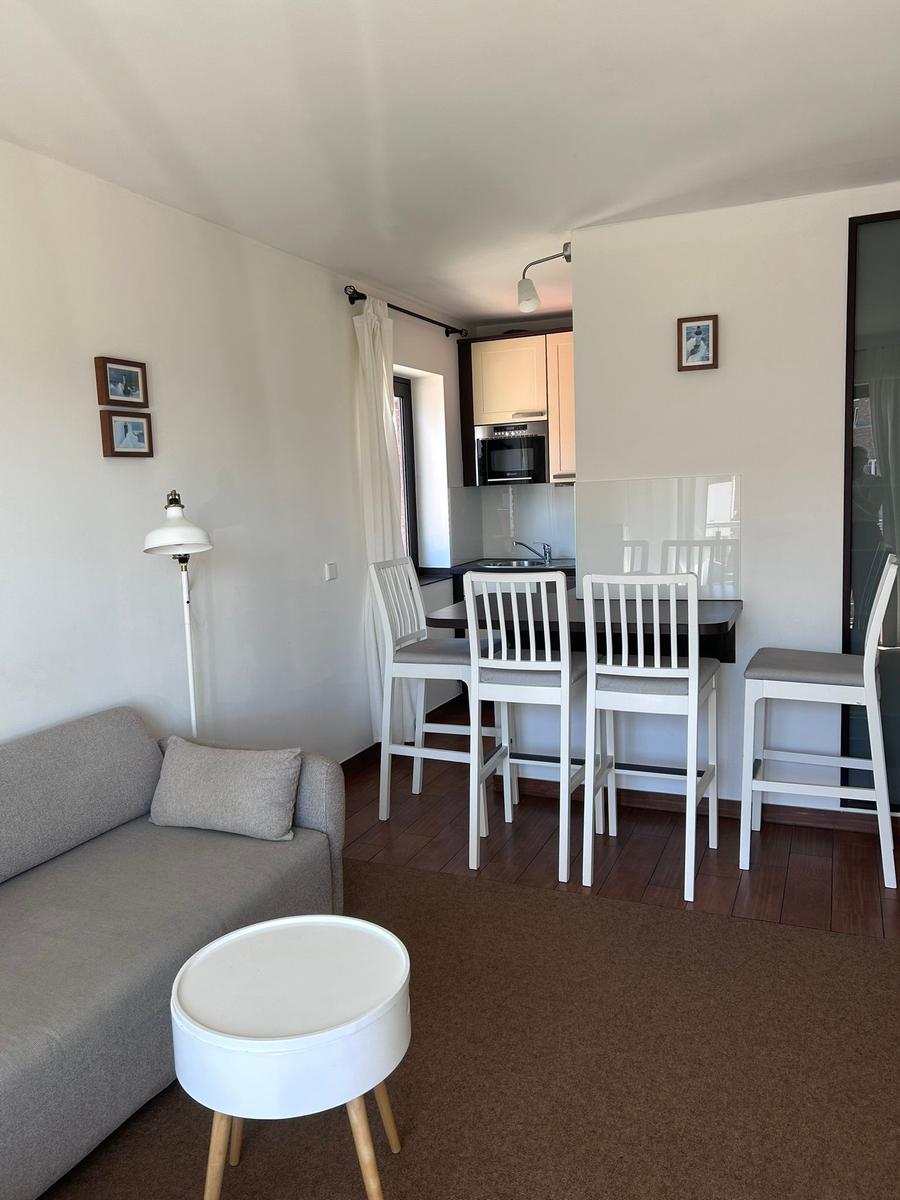 Wohnbereich mit Sofa, Tisch und Küchenzeile mit Stühlen.
